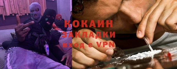 дмт Лиски