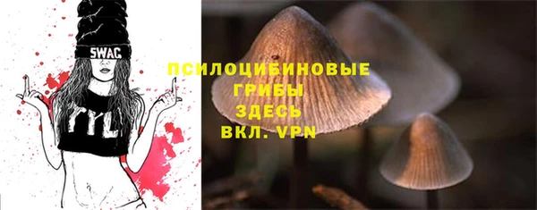 ПСИЛОЦИБИНОВЫЕ ГРИБЫ Лихославль