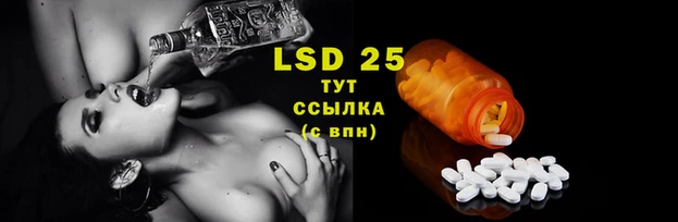 стафф Магас