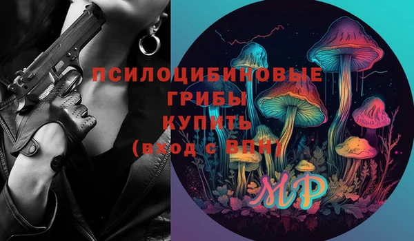 ПСИЛОЦИБИНОВЫЕ ГРИБЫ Лихославль