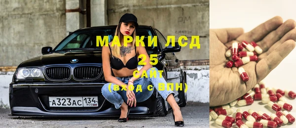 ПСИЛОЦИБИНОВЫЕ ГРИБЫ Лихославль